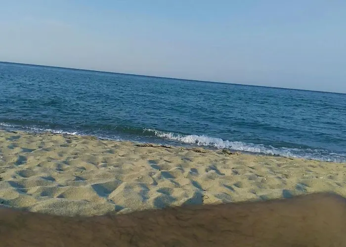 Sevi